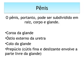 PênisPênis
O pênis, portanto, pode ser subdividido em
raiz, corpo e glande.
•Coroa da glande
•Óstio externo da uretra
•Colo da glande
•Prepúcio (cútis fina e deslizante envolve a
parte livre da glande)
 