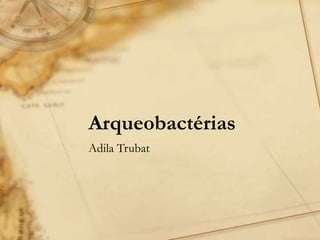 Arqueobactérias
Adila Trubat
 