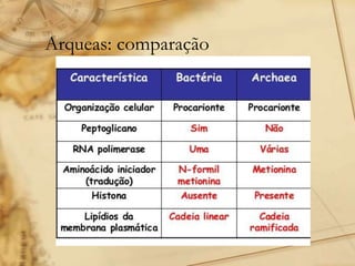 Arqueas: comparação
 