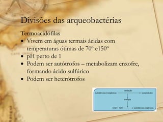 Divisões das arqueobactérias
Termoacidófilas
 Vivem em águas termais ácidas com
temperaturas ótimas de 70º e150º
 pH perto de 1
 Podem ser autótrofos – metabolizam enxofre,
formando ácido sulfúrico
 Podem ser heterótrofos
 