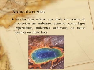 Arqueobactérias
 São bactérias antigas , que ainda são capazes de
sobreviver em ambientes extremos como lagos
hipersalinos, ambientes sulfurosos, ou muito
quentes ou muito frios
 