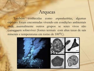 Arqueas
Também conhecidas como arqueobactérias, algumas
espécies foram encontradas vivendo em condições ambientais
onde normalmente outros grupos se seres vivos não
conseguem sobreviver (fontes termais com altas taxas de sais
minerais e temperaturas em torno de 100°C).
 