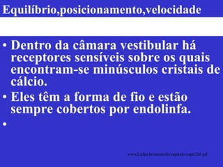 Dentro da câmara vestibular há receptores sensíveis sobre os quais encontram-se minúsculos cristais de cálcio.  Eles têm a forma de fio e estão sempre cobertos por endolinfa.  www2.ufpa.br/ensinofts/capitulo/capit326.gif  Equilíbrio,posicionamento,velocidade 
