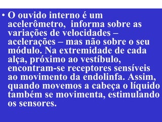 O ouvido interno é um acelerômetro,  informa sobre as variações de velocidades – acelerações – mas não sobre o seu módulo. Na extremidade de cada alça, próximo ao vestíbulo, encontram-se receptores sensíveis ao movimento da endolinfa. Assim, quando movemos a cabeça o líquido também se movimenta, estimulando os sensores. 