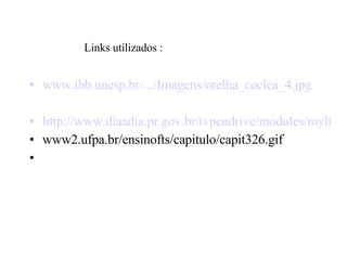 www.ibb.unesp.br/.../Imagens/orelha_coclea_4.jpg http://www.diaadia.pr.gov.br/tvpendrive/modules/mylinks/viewcat.php?cid=5&min=70&orderby=hitsD&show=10 www2.ufpa.br/ensinofts/capitulo/capit326.gif Links utilizados : 