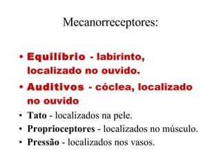 Mecanorreceptores: Equilíbrio  - labirinto, localizado no ouvido. Auditivos  - cóclea, localizado no ouvido Tato  - localizados na pele. Proprioceptores  - localizados no músculo. Pressão  - localizados nos vasos. 