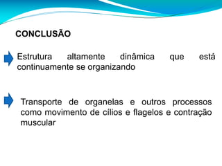 CONCLUSÃO
Estrutura altamente dinâmica que está
continuamente se organizando
Transporte de organelas e outros processos
como movimento de cílios e flagelos e contração
muscular
 