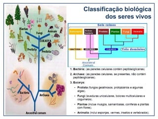 Aula 5 Classificação biológica dos seres vivos 7 ANO.pptx