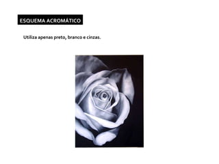 ESQUEMA ACROMÁTICO Utiliza apenas preto, branco e cinzas.  