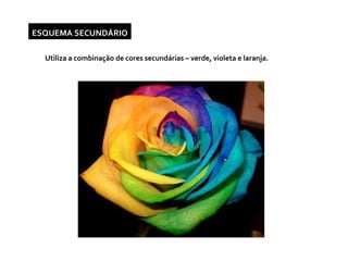 ESQUEMA SECUNDÁRIO Utiliza a combinação de cores secundárias – verde, violeta e laranja.  