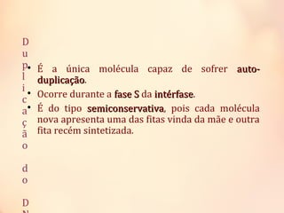 D
u
p
l
i
c
a
ç
ã
o
d
o
D

É a única molécula capaz de sofrer auto-auto-
duplicaçãoduplicação.

Ocorre durante a fase Sfase S da intérfaseintérfase.

É do tipo semiconservativasemiconservativa, pois cada molécula
nova apresenta uma das fitas vinda da mãe e outra
fita recém sintetizada.
 