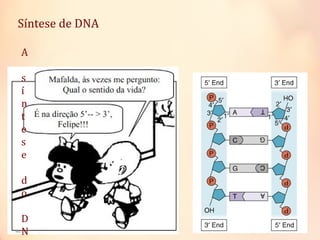 Síntese de DNA
A
s
í
n
t
e
s
e
d
o
D
N
 