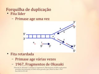 Forquilha de duplicação

Fita líder
− Primase age uma vez

Fita retardada
− Primase age várias vezes
− 1967, Fragmentos de Okasaki
Okazaki R, Okazaki T, Sakabe K, Sugimoto K. Mechanism of DNA replication
possible discontinuity of DNA chain growth. Jpn J Med Sci Biol. 1967
Jun;20(3):255-60
 