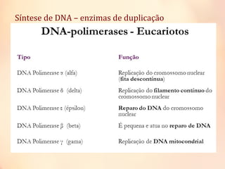 Síntese de DNA – enzimas de duplicação
 