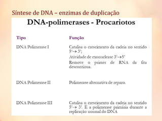 Síntese de DNA – enzimas de duplicação
 