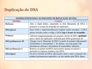 Duplicação do DNA
 