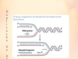 D
u
p
l
i
c
a
ç
ã
o
d
o
D
 