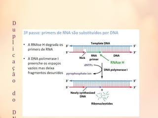 D
u
p
l
i
c
a
ç
ã
o
d
o
D
 