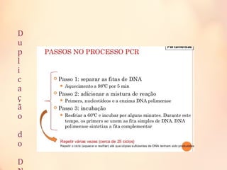 D
u
p
l
i
c
a
ç
ã
o
d
o
D
 