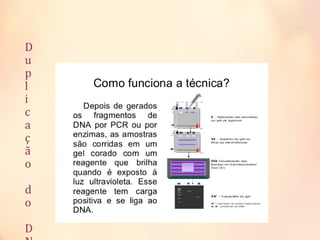 D
u
p
l
i
c
a
ç
ã
o
d
o
D
 