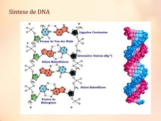 Síntese de DNA
 