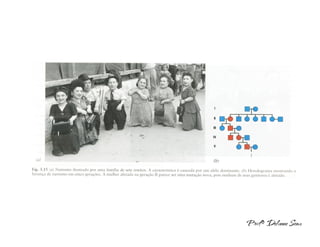  INTRODUÇÃO A HERANÇA MONOGÊNICA 
 