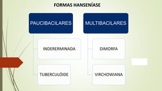 FORMAS HANSENÍASE
 