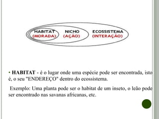• HABITAT - é o lugar onde uma espécie pode ser encontrada, isto
é, o seu "ENDEREÇO" dentro do ecossistema.
Exemplo: Uma planta pode ser o habitat de um inseto, o leão pode
ser encontrado nas savanas africanas, etc.
 