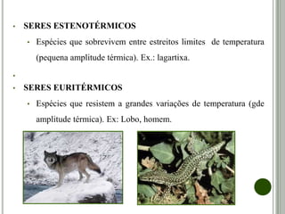 • SERES ESTENOTÉRMICOS
• Espécies que sobrevivem entre estreitos limites de temperatura
(pequena amplitude térmica). Ex.: lagartixa.
•
• SERES EURITÉRMICOS
• Espécies que resistem a grandes variações de temperatura
(grande amplitude térmica). Ex: Lobo, homem.
 