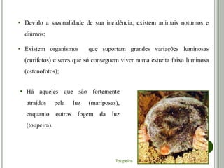 • Devido a sazonalidade de sua incidência, existem animais noturnos e
diurnos;
• Existem organismos que suportam grandes variações luminosas
(eurifotos) e seres que só conseguem viver numa estreita faixa luminosa
(estenofotos);
 Há aqueles que são fortemente
atraídos pela luz (mariposas),
enquanto outros fogem da luz
(toupeira).
Toupeira
 