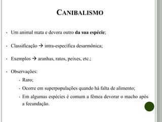 CANIBALISMO
• Um animal mata e devora outro da sua espécie;
• Classificação  intra-específica desarmônica;
• Exemplos  aranhas, ratos, peixes, etc.;
• Observações:
• Raro;
• Ocorre em superpopulações quando há falta de alimento;
• Em algumas espécies é comum a fêmea devorar o macho após
a fecundação.
 