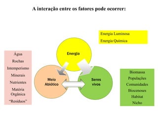 A interação entre os fatores pode ocorrer:
Energia
Seres
vivos
Meio
Abiótico
Biomassa
Populações
Comunidades
Biocenoses
Habitat
Nicho
Água
Rochas
Intemperismo
Minerais
Nutrientes
Matéria
Orgânica
“Resíduos”
Energia Luminosa
Energia Química
 