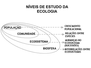 NÍVEIS DE ESTUDO DA
ECOLOGIA
 