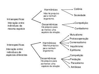 Intraespecíficas
Interespecíficas
Interação entre
indivíduos da
mesma espécie
Interação entre
indivíduos de
espécies diferentes
Harmônicas
Desarmônicas
Não há prejuízo
para nenhum
organismo.
Há prejuízo para
ao menos uma
espécie da relação.
Colônia
Sociedade
Competição
Canibalismo
Harmônicas
Desarmônicas
Não há prejuízo
para nenhum
organismo.
Há prejuízo para
ao menos uma
espécie da relação.
Competição
Parasitismo
Mutualismo
Protocooperação
Comensalismo
Inquilinismo
Epifitismo
Predação
Antibiose
 