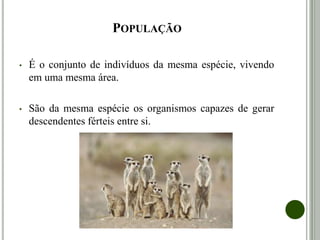 POPULAÇÃO
• É o conjunto de indivíduos da mesma espécie, vivendo
em uma mesma área.
• São da mesma espécie os organismos capazes de gerar
descendentes férteis entre si.
 