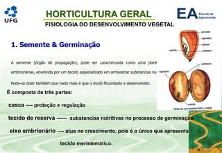 HORTICULTURA GERAL
FISIOLOGIA DO DESENVOLVIMENTO VEGETAL
1. Semente & Germinação
A semente (órgão de propagação), pode ser caracterizada como uma planta de dimensões e formas
embrionárias, envolvida por um tecido especializado em armazenar substancias nutritivas.
Pode-se dizer também que nada mais é que o óvulo fecundado e desenvolvido.
É composta de três partes:
casca ---- proteção e regulação
tecido de reserva ------ substancias nutritivas no processo de germinação.
eixo embrionário ---- atua no crescimento, pois é o único que apresenta
tecido meristemático.
 