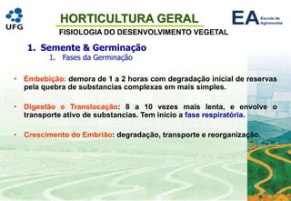 HORTICULTURA GERAL
FISIOLOGIA DO DESENVOLVIMENTO VEGETAL
1. Semente & Germinação
1. Fases da Germinação
• Embebição: demora de 1 a 2 horas com degradação inicial de reservas
pela quebra de substancias complexas em mais simples.
• Digestão e Translocação: 8 a 10 vezes mais lenta, e envolve o
transporte ativo de substancias. Tem início a fase respiratória.
• Crescimento do Embrião: degradação, transporte e reorganização.
 