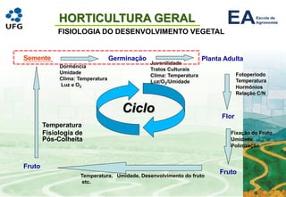 HORTICULTURA GERAL
FISIOLOGIA DO DESENVOLVIMENTO VEGETAL
Semente
Ciclo
Germinação Planta Adulta
Flor
Fruto
Fruto
Dormência
Umidade
Clima: Temperatura
Luz e O2
Juvenilidade
Tratos Culturais
Clima: Temperatura
Luz/O2/Umidade
Fotoperíodo
Temperatura
Hormônios
Relação C/N
Fixação do Fruto
Umidade
Polinização
Temperatura, Umidade, Desenvolvimento do fruto
etc.
Temperatura
Fisiologia de
Pós-Colheita
 