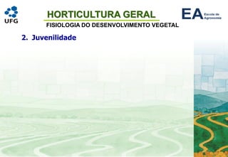 HORTICULTURA GERAL
FISIOLOGIA DO DESENVOLVIMENTO VEGETAL
2. Juvenilidade
 