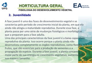 HORTICULTURA GERAL
FISIOLOGIA DO DESENVOLVIMENTO VEGETAL
2. Juvenilidade
A fase juvenil é uma das fases do desenvolvimento vegetal e se
caracteriza pelo período de crescimento inicial da planta, em que ela
ainda não atingiu a maturidade reprodutiva. Durante essa fase, a
planta passa por uma série de mudanças fisiológicas e morfológicas
que a preparam para a fase adulta.
Uma das principais características da fase juvenil é a baixa capacidade
reprodutiva da planta. Isso ocorre porque a planta ainda não
desenvolveu completamente os órgãos reprodutivos, como flores e
frutos, que são essenciais para a produção de sementes e a
propagação da espécie. Durante a fase juvenil, a planta concentra a
maior parte de sua energia no crescimento vegetativo, aumentando
sua massa e tamanho.
 