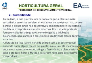 HORTICULTURA GERAL
FISIOLOGIA DO DESENVOLVIMENTO VEGETAL
2. Juvenilidade
Além disso, a fase juvenil é um período em que a planta é mais
suscetível a estresses ambientais e ataques de patógenos. Isso ocorre
porque a planta ainda não desenvolveu completamente seu sistema
de defesa e resposta a estímulos externos. Por isso, é importante
fornecer cuidados adequados, como irrigação e adubação
balanceada, para garantir o crescimento saudável da planta durante
essa fase.
A duração da fase juvenil varia de acordo com a espécie vegetal,
podendo durar alguns meses em plantas anuais ou até mesmo vários
anos em árvores perenes. Ao atingir a fase adulta, a planta estará
apta a produzir flores e frutos e iniciar um novo ciclo de crescimento
e reprodução.
 