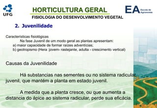 HORTICULTURA GERAL
FISIOLOGIA DO DESENVOLVIMENTO VEGETAL
2. Juvenilidade
Características fisiológicas
Na fase Juvenil de um modo geral as plantas apresentam:
a) maior capacidade de formar raízes adventícias;
b) geotropismo (Hera :jovem- rastejante, adulta - crescimento vertical)
Causas da Juvenilidade
Há substancias nas sementes ou no sistema radicular
juvenil, que mantém a planta em estado juvenil.
A medida que a planta cresce, ou que aumenta a
distancia do ápice ao sistema radicular, perde sua eficácia.
 