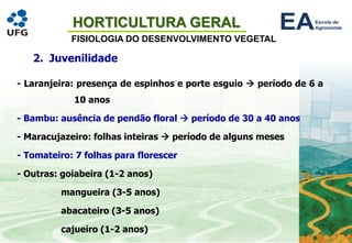 HORTICULTURA GERAL
FISIOLOGIA DO DESENVOLVIMENTO VEGETAL
2. Juvenilidade
- Laranjeira: presença de espinhos e porte esguio → período de 6 a
10 anos
- Bambu: ausência de pendão floral → período de 30 a 40 anos
- Maracujazeiro: folhas inteiras → período de alguns meses
- Tomateiro: 7 folhas para florescer
- Outras: goiabeira (1-2 anos)
mangueira (3-5 anos)
abacateiro (3-5 anos)
cajueiro (1-2 anos)
 