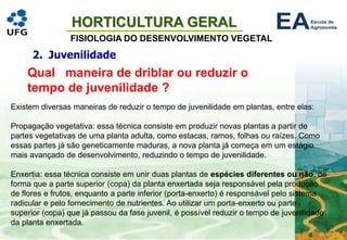 HORTICULTURA GERAL
FISIOLOGIA DO DESENVOLVIMENTO VEGETAL
2. Juvenilidade
Qual maneira de driblar ou reduzir o
tempo de juvenilidade ?
Existem diversas maneiras de reduzir o tempo de juvenilidade em plantas, entre elas:
Propagação vegetativa: essa técnica consiste em produzir novas plantas a partir de
partes vegetativas de uma planta adulta, como estacas, ramos, folhas ou raízes. Como
essas partes já são geneticamente maduras, a nova planta já começa em um estágio
mais avançado de desenvolvimento, reduzindo o tempo de juvenilidade.
Enxertia: essa técnica consiste em unir duas plantas de espécies diferentes ou não, de
forma que a parte superior (copa) da planta enxertada seja responsável pela produção
de flores e frutos, enquanto a parte inferior (porta-enxerto) é responsável pelo sistema
radicular e pelo fornecimento de nutrientes. Ao utilizar um porta-enxerto ou parte
superior (copa) que já passou da fase juvenil, é possível reduzir o tempo de juvenilidade
da planta enxertada.
 