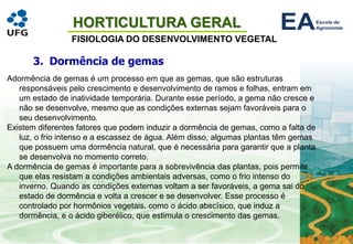 HORTICULTURA GERAL
FISIOLOGIA DO DESENVOLVIMENTO VEGETAL
3. Dormência de gemas
Adormência de gemas é um processo em que as gemas, que são estruturas
responsáveis pelo crescimento e desenvolvimento de ramos e folhas, entram em
um estado de inatividade temporária. Durante esse período, a gema não cresce e
não se desenvolve, mesmo que as condições externas sejam favoráveis para o
seu desenvolvimento.
Existem diferentes fatores que podem induzir a dormência de gemas, como a falta de
luz, o frio intenso e a escassez de água. Além disso, algumas plantas têm gemas
que possuem uma dormência natural, que é necessária para garantir que a planta
se desenvolva no momento correto.
A dormência de gemas é importante para a sobrevivência das plantas, pois permite
que elas resistam a condições ambientais adversas, como o frio intenso do
inverno. Quando as condições externas voltam a ser favoráveis, a gema sai do
estado de dormência e volta a crescer e se desenvolver. Esse processo é
controlado por hormônios vegetais, como o ácido abscísico, que induz a
dormência, e o ácido giberélico, que estimula o crescimento das gemas.
 