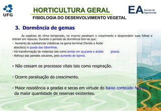 HORTICULTURA GERAL
FISIOLOGIA DO DESENVOLVIMENTO VEGETAL
3. Dormência de gemas
As espécies de clima temperado, no inverno paralisam o crescimento e desprendem suas folhas e
entram em repouso. Durante o período de dormência tem-se que:
- Aumento de substancias inibidoras na gema terminal (Fenóis e Ácido
abscísico) e queda das Giberilinas.
- Há transformação de materiais tais como amido em açucares e ácidos graxos.
- Reforço das paredes celulares, pelo aumento de lignina.
- Não cessam os processos vitais tais como respiração.
- Ocorre paralisação do crescimento.
- Maior resistência a geadas e secas em virtude do baixo conteúdo hídrico, e
da maior quantidade de reservas existentes.
 