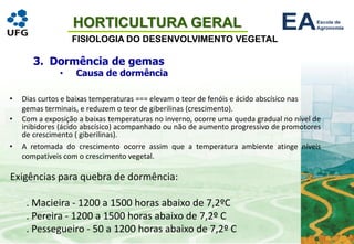 HORTICULTURA GERAL
FISIOLOGIA DO DESENVOLVIMENTO VEGETAL
• Dias curtos e baixas temperaturas === elevam o teor de fenóis e ácido abscísico nas
gemas terminais, e reduzem o teor de giberilinas (crescimento).
• Com a exposição a baixas temperaturas no inverno, ocorre uma queda gradual no nível de
inibidores (ácido abscísico) acompanhado ou não de aumento progressivo de promotores
de crescimento ( giberilinas).
• A retomada do crescimento ocorre assim que a temperatura ambiente atinge níveis
compatíveis com o crescimento vegetal.
Exigências para quebra de dormência:
. Macieira - 1200 a 1500 horas abaixo de 7,2ºC
. Pereira - 1200 a 1500 horas abaixo de 7,2º C
. Pessegueiro - 50 a 1200 horas abaixo de 7,2º C
3. Dormência de gemas
• Causa de dormência
 