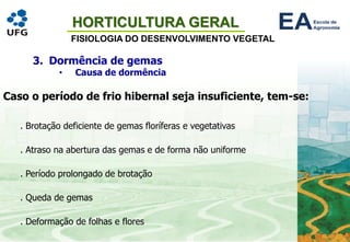 HORTICULTURA GERAL
FISIOLOGIA DO DESENVOLVIMENTO VEGETAL
Caso o período de frio hibernal seja insuficiente, tem-se:
. Brotação deficiente de gemas floríferas e vegetativas
. Atraso na abertura das gemas e de forma não uniforme
. Período prolongado de brotação
. Queda de gemas
. Deformação de folhas e flores
3. Dormência de gemas
• Causa de dormência
 