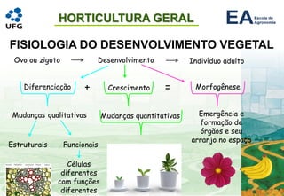 HORTICULTURA GERAL
FISIOLOGIA DO DESENVOLVIMENTO VEGETAL
Ovo ou zigoto Desenvolvimento Indivíduo adulto
Diferenciação Crescimento Morfogênese
Mudanças qualitativas
Estruturais Funcionais
Mudanças quantitativas
+ =
Emergência e
formação de
órgãos e seu
arranjo no espaço
Células
diferentes
com funções
diferentes
 