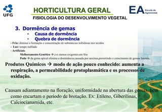 HORTICULTURA GERAL
FISIOLOGIA DO DESENVOLVIMENTO VEGETAL
- Frio: diminui a formação e concentração de substancias inibidoras nos tecidos
- Luz: tempo nublado
- Artificiais:
Melhoramento Genético → cvs menos exigentes em frio
Poda → da gema apical elimina a dominância causada por auxinas,permitindo o crescimento de gemas laterais.
Produtos Químicos → modo de ação pouco conhecido: aumenta a
respiração, a permeabilidade protoplasmática e os processos de
oxidação.
Causam adiantamento na floração, uniformidade na abertura das gemas, bem
como encurtam o período de brotação. Ex: Etileno, Giberilinas,
Calciocianamida, etc.
3. Dormência de gemas
• Causa de dormência
• Quebra de dormência
 